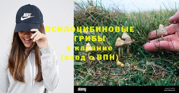 твердый Инсар