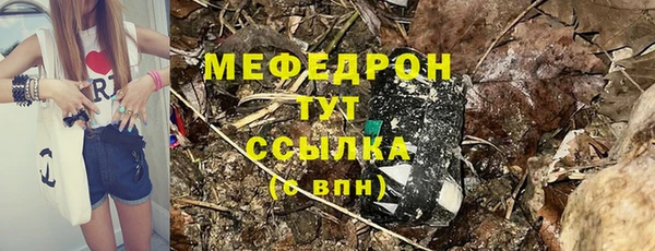 твердый Инсар