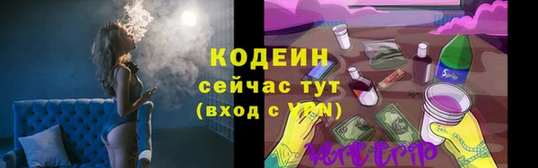 соль ск Иннополис