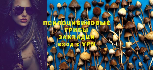 твердый Инсар