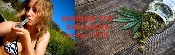 твердый Инсар