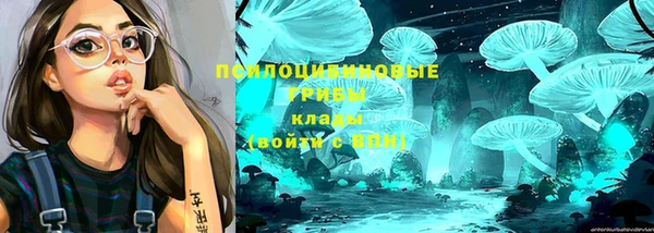 твердый Инсар