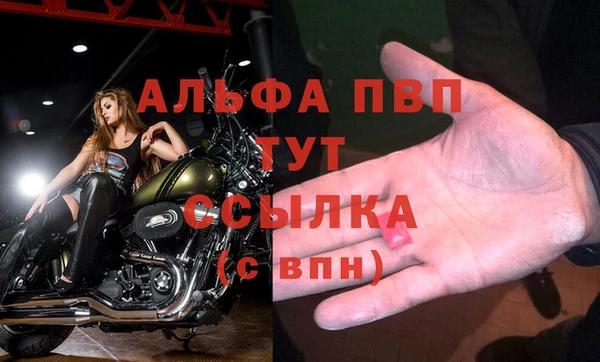 твердый Инсар