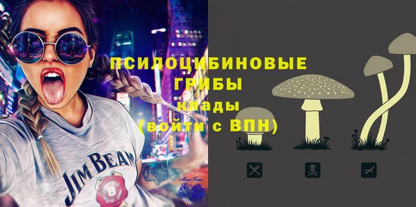 соль ск Иннополис