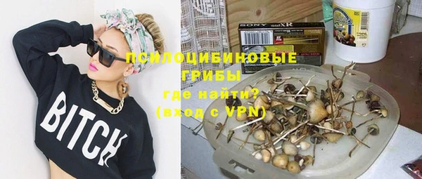 твердый Инсар