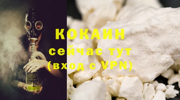 твердый Инсар
