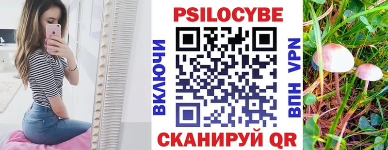 Купить где  Краснокаменск  Псилоцибиновые грибы мицелий 