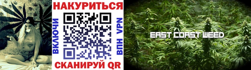 Каннабис сатива Краснокаменск